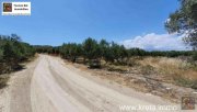 Kamilari Kreta Kamilari, Baugrundstück 2.000m² mit 2 Baugenehmigungen ! zu verkaufen Grundstück kaufen